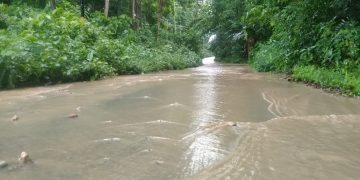Jalan Poros Pasarwajo–Wabula di La Baelangko, Desa Kondowa, Kembali Terendam Banjir, Warga Minta PUPR Segera Turun Lapangan