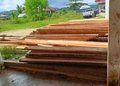 Tumpukan Kayu Puluhan Kubik di Pangkalan Pertamina TPI Kamaru Hambat Distribusi BBM Nelayan